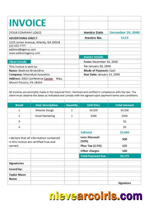 Professional Agency Invoice